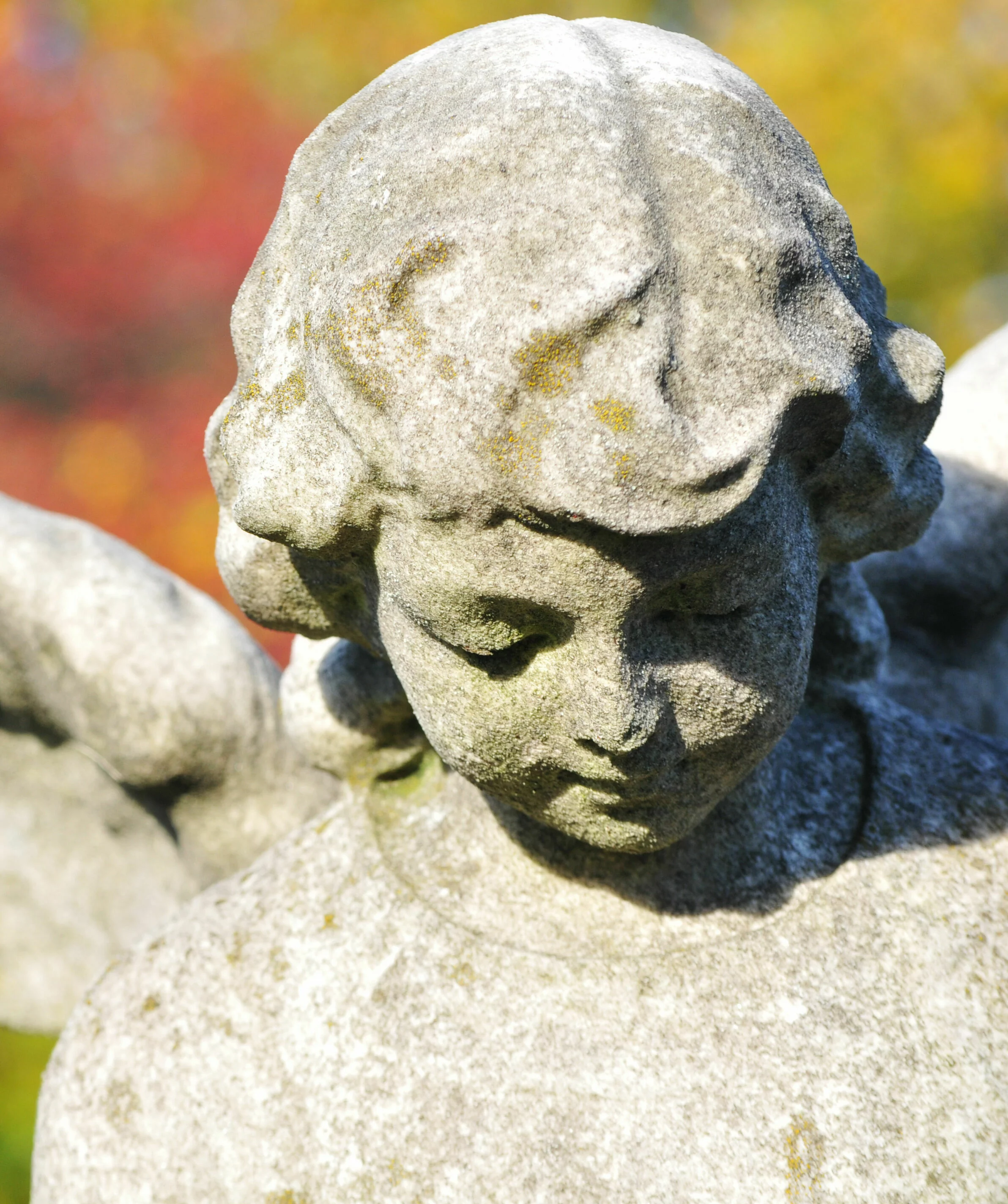 Steinfigur eines Engels mit geschlossenen Augen und ausgebreiteten Flügeln, die auf einer Begräbnisstätte steht, vor einem Hintergrund aus bunten Herbstblättern.